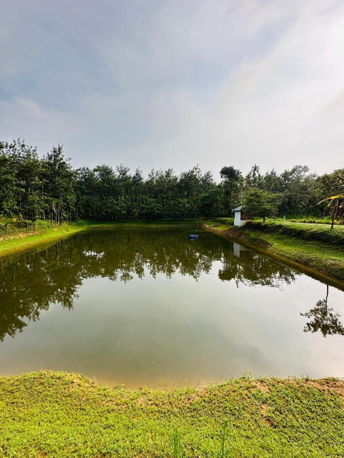 شقة Green Castle Gonikoppal المظهر الخارجي الصورة